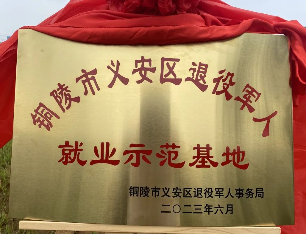 z6.com(中国区)官方网站