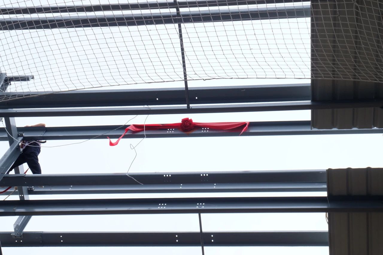 z6.com(中国区)官方网站