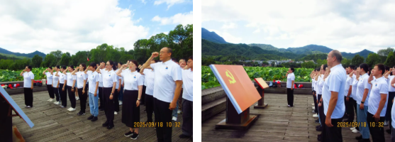 z6.com(中国区)官方网站