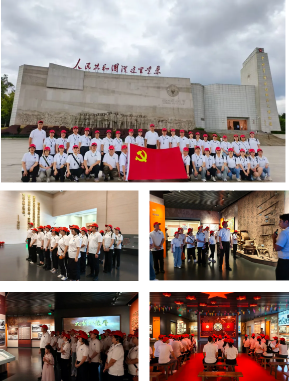 z6.com(中国区)官方网站