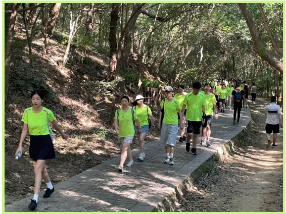 z6.com(中国区)官方网站